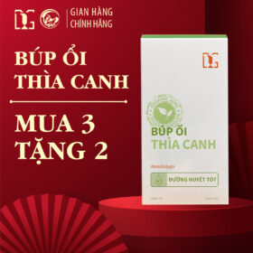 Trà Búp Ổi Thìa Canh Mua 3 Tặng 2