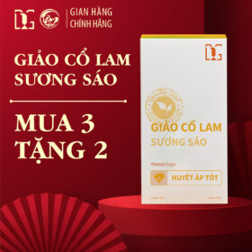 Trà Giảo Cổ Lam Sương Sáo Mua 3 Tặng 2